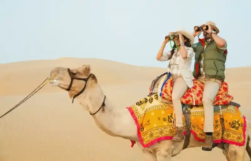 Luxury Rajasthan Desert Safari & Camel Tour